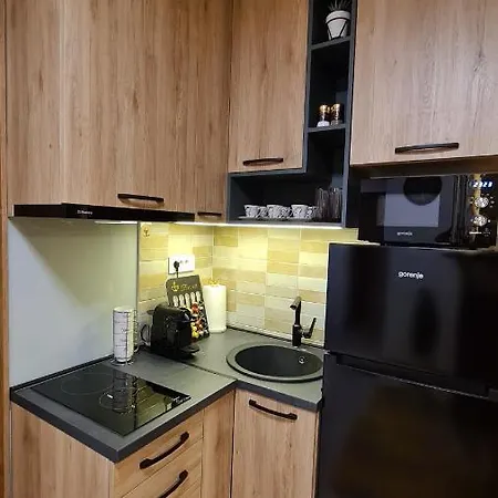 Apartmán Palace 15 Zlatibor